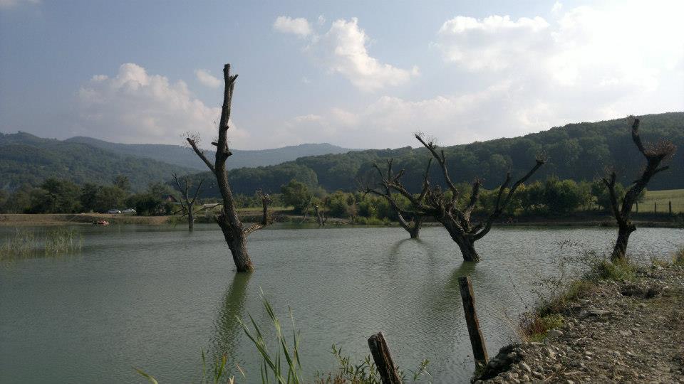 Balta Valea Morii Budila - 380687_113094142193923_350090948_n.jpg